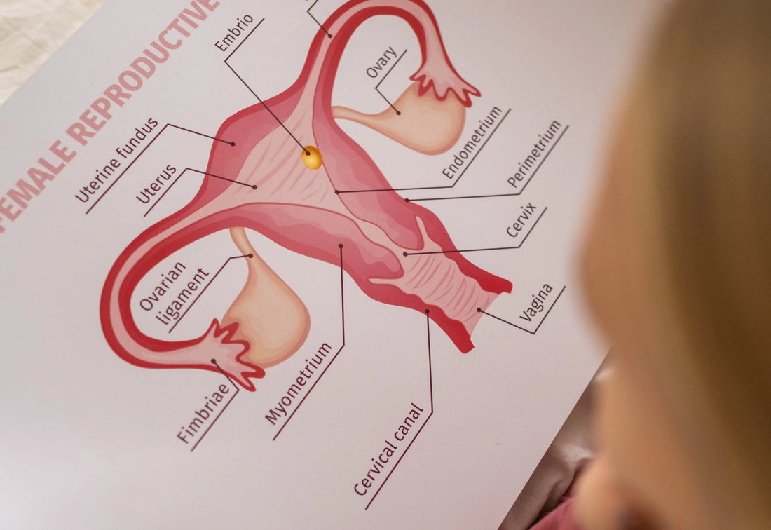 Endometrioze ir nugaros skausmas