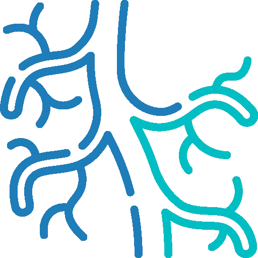 Koju maszas kraujotakai